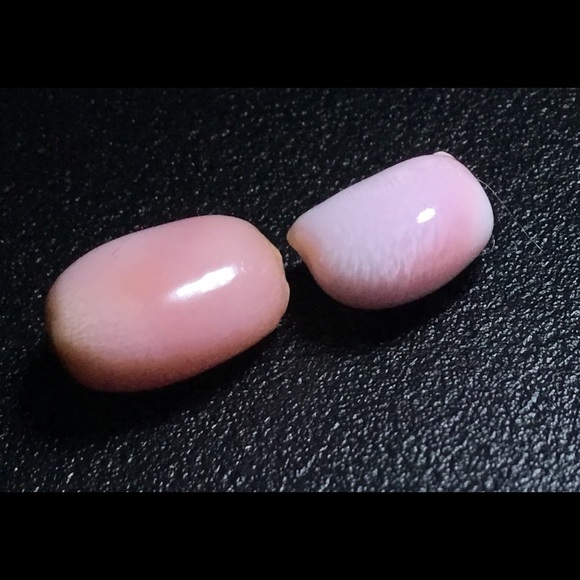 Conch Pearls - Picture 5 of 6